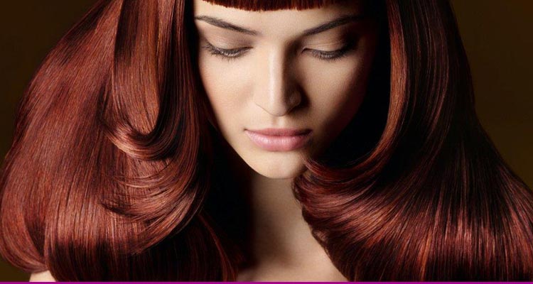 Especialidades - Peluquería a Domicilio